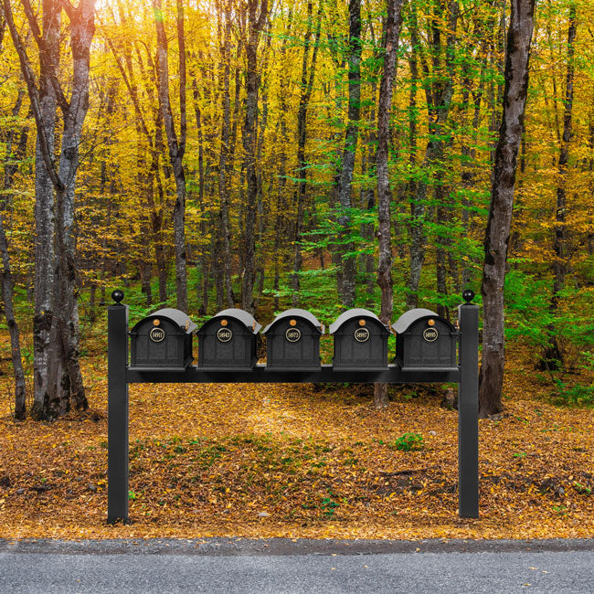 Whitehall Grand Custom Balmoral Mailbox Quint, Black/Gold