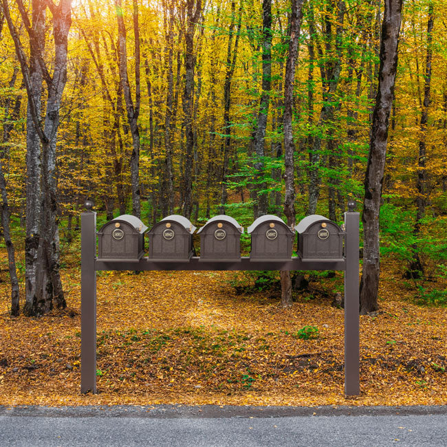 Whitehall Grand Custom Balmoral Mailbox Quint, Bronze/Gold