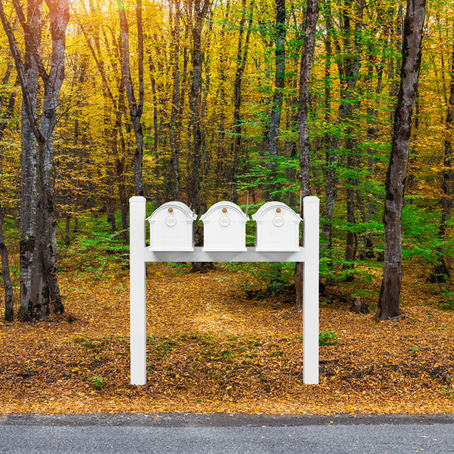 Whitehall Classic Custom Balmoral Mailbox Trio, White/Gold