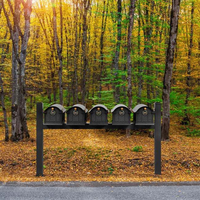 Whitehall Classic Custom Balmoral Mailbox Quint, Black/Gold