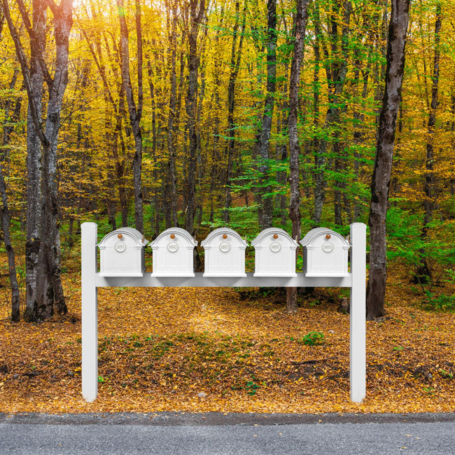 Whitehall Classic Custom Balmoral Mailbox Quint, White/Gold