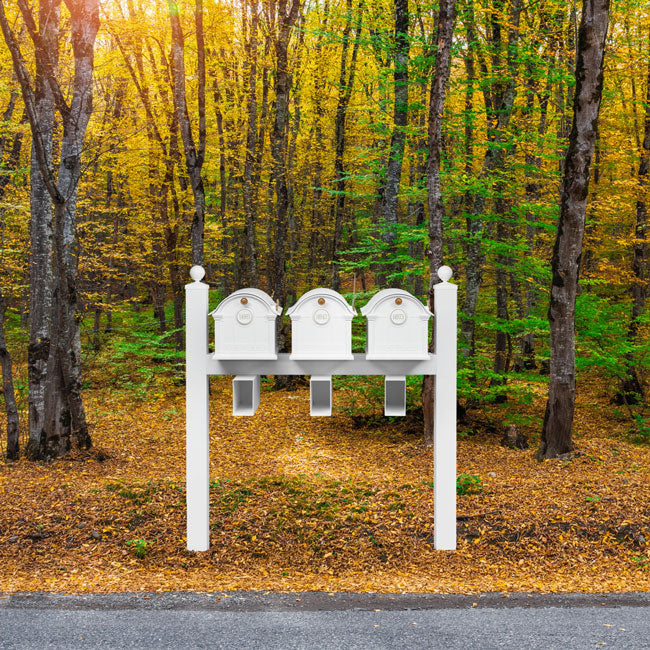 Whitehall Superior Custom Balmoral Mailbox Trio, White/Gold
