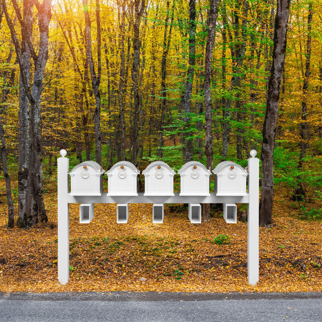 Whitehall Superior Custom Balmoral Mailbox Quint, White/Gold