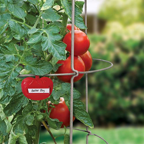 Panacea Tomato Cage Plant Markers, Set of 3